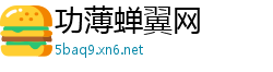 功薄蝉翼网